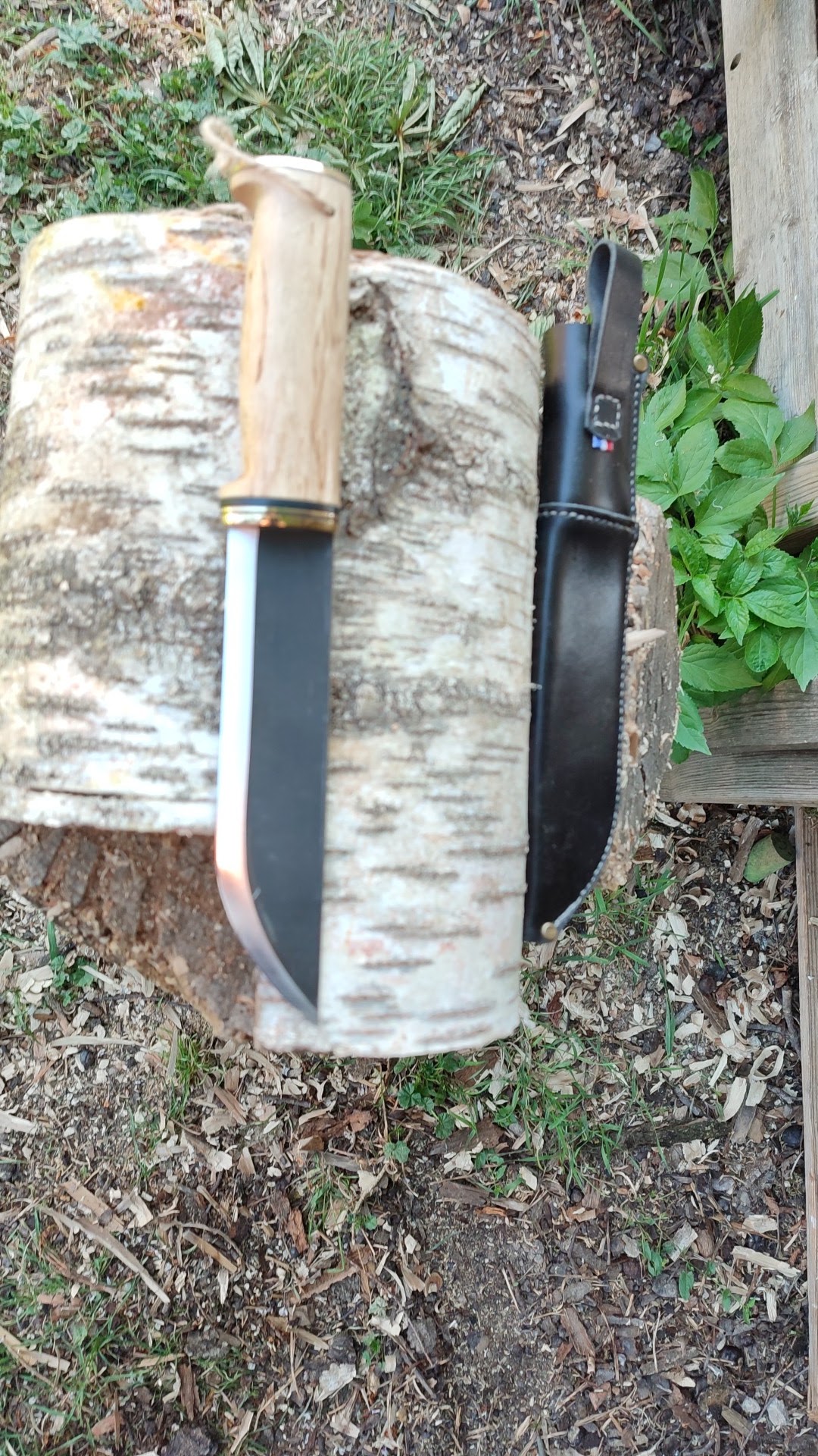 Photo n° 2 de l'avis de bushcraft.a fait le 06/05/2022 à 16:55