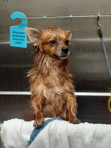 Pet Supply Store «Chow Hound Pet Supplies», reviews and photos, 660 Chicago Dr, Holland, MI 49423, USA