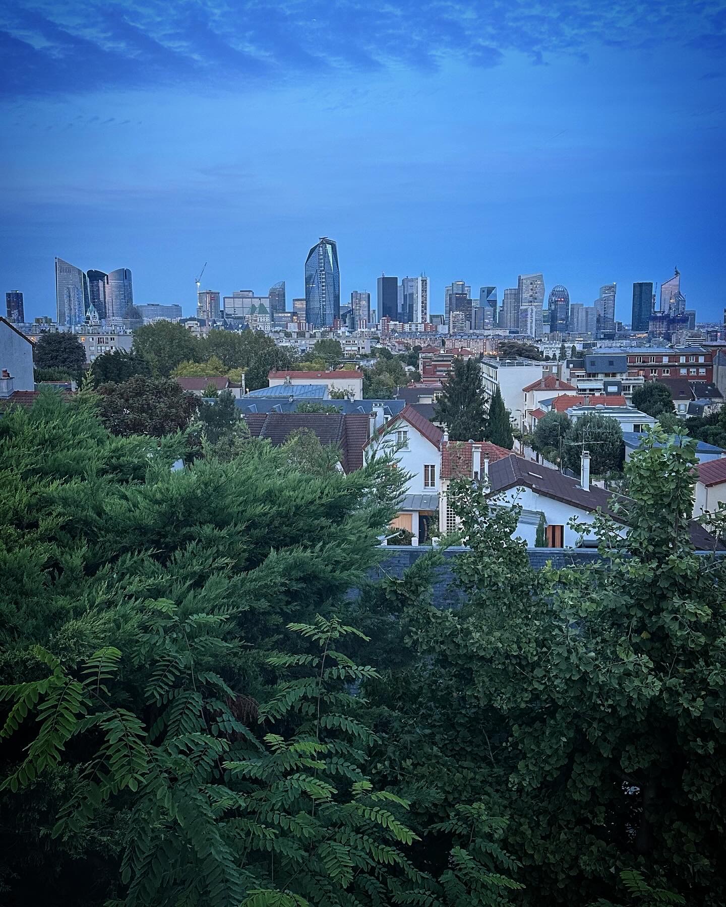 Photo n° 7 de l'avis de Syrianne.U fait le 14/08/2019 à 22:18