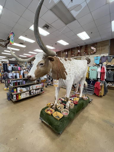 Gift Shop «Austin Gift Company», reviews and photos, 4211 S Lamar Blvd, Austin, TX 78704, USA