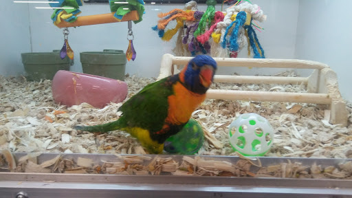 Pet Store «Fins Feathers Paws Claws», reviews and photos, 201 Station Rd, Quakertown, PA 18951, USA