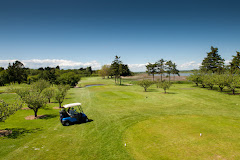 Beaverstown Golf Club