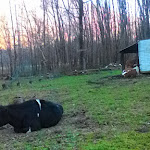 Photo n°10 de l'avis de Luigina.o fait le 11/12/2016 à 09:49 sur le  Lago Delle Rose à Ornavasso