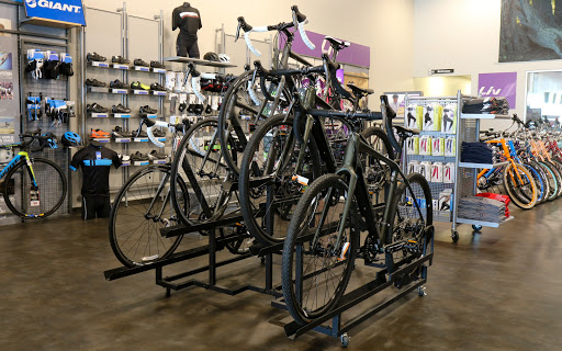 Bicycle Store «Bicycle World of Katy», reviews and photos, 24555 Katy Fwy, Katy, TX 77494, USA