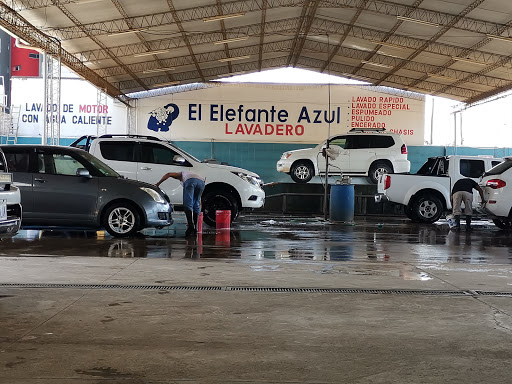 Elefante Azul