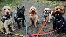 The Woof Pack Dog Walking & Pet Services/Training
