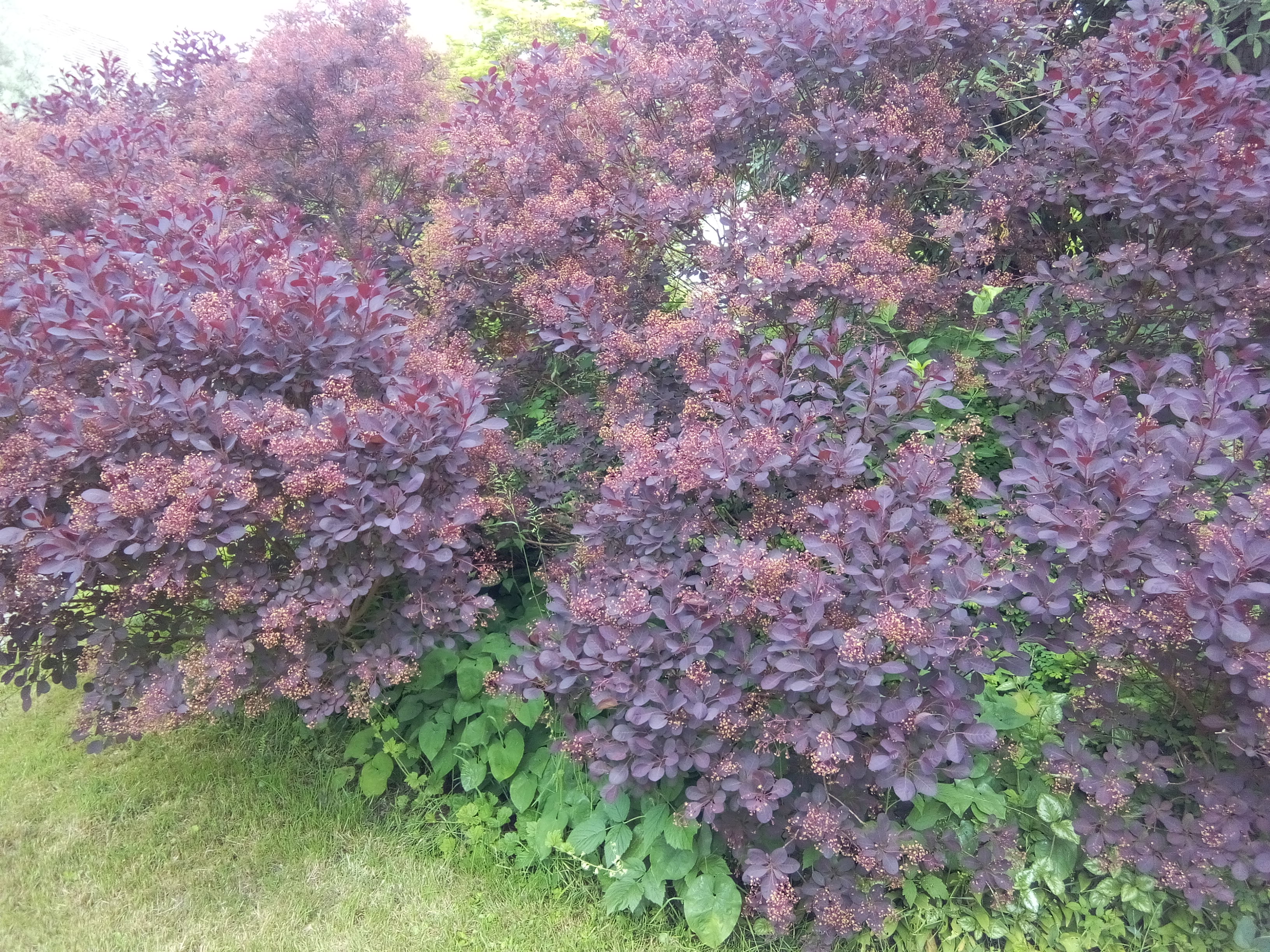 Photo n° 6 de l'avis de Pascal.A fait le 18/06/2018 à 06:53