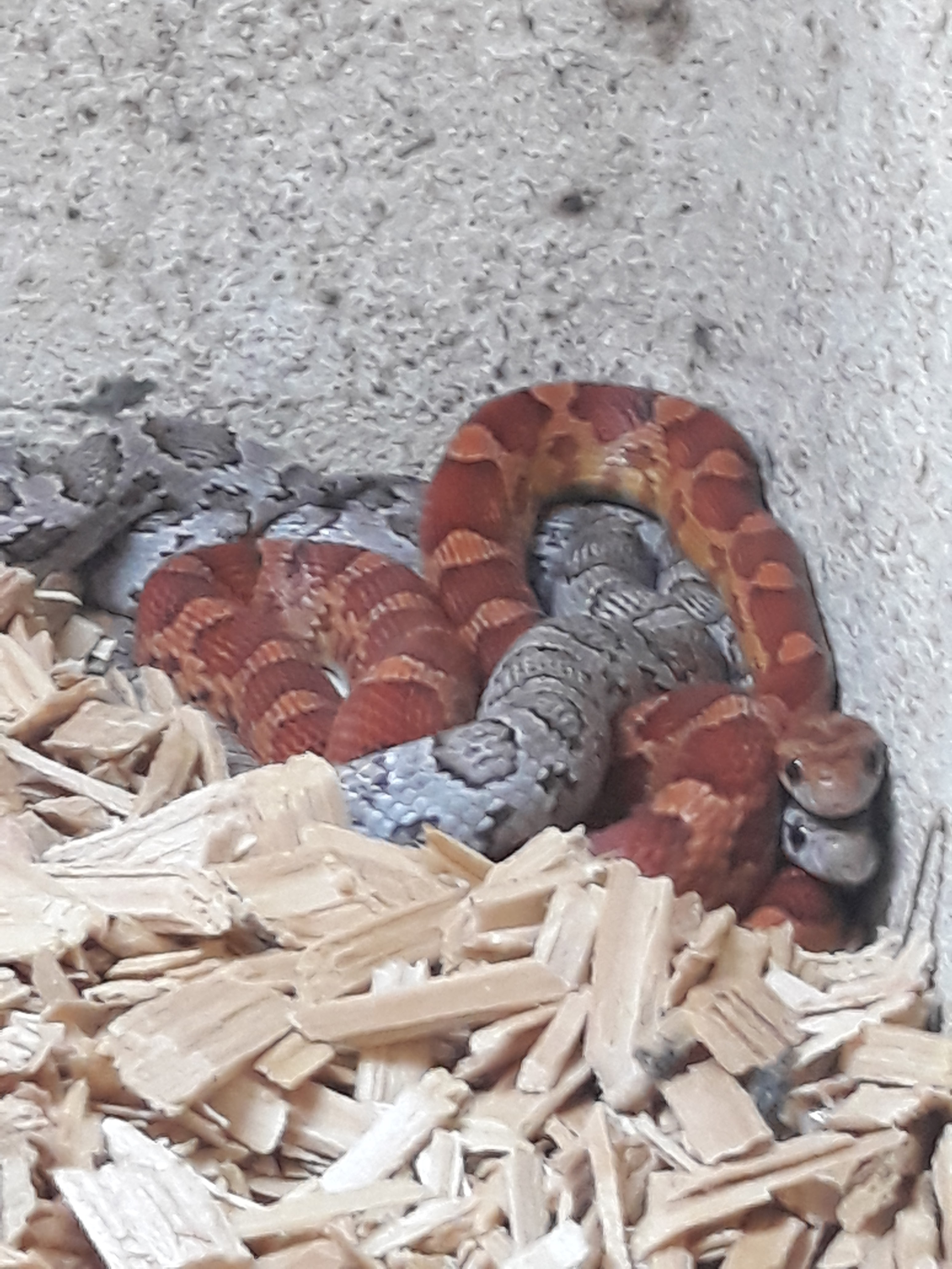 Photo n° 4 de l'avis de Raphael.e fait le 16/08/2019 à 17:28