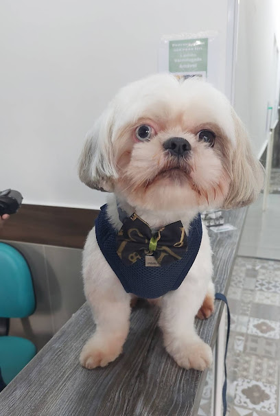 Pet Vet California - Unidade 2 Santa Cecília São Paulo SP