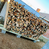 Halligan Tree and Landscape service - Photo 4 - Car repair in Amarillo, TX, Amarillo