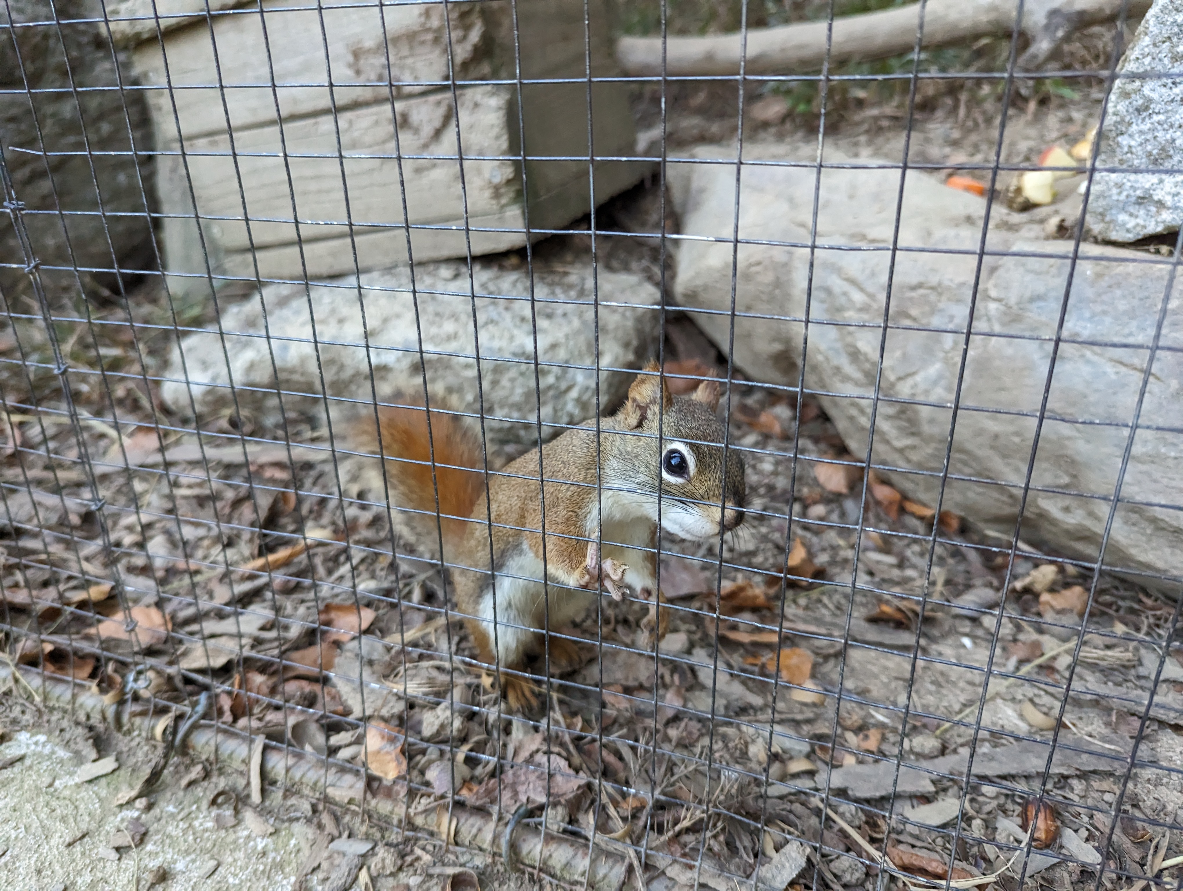 Photo n° 15 de l'avis de Thibaud.l fait le 10/10/2023 à 07:10