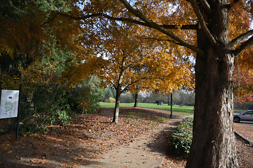 Park «Rood Bridge Park», reviews and photos, 4000 SE Rood Bridge Rd, Hillsboro, OR 97123, USA