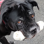 Photo n° 1 de l'avis de garcia.a fait le 09/03/2021 à 07:34 pour Tom&Co Amiens à Amiens