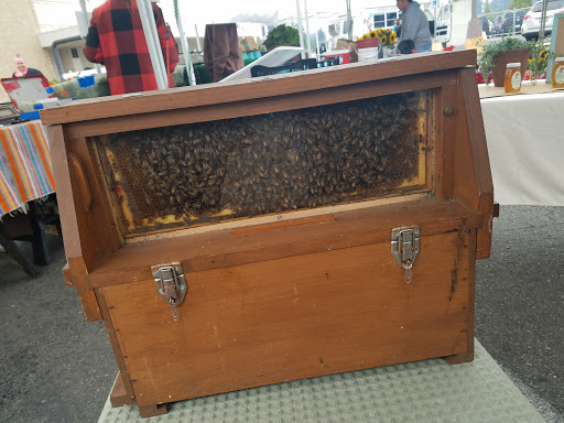 Tourist Attraction «Shoreline Farmers Market», reviews and photos, 15300 Westminster Way N, Shoreline, WA 98133, USA