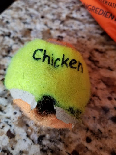 Pet Store «Pets Plus», reviews and photos, 151 Lincoln Hwy, Fairless Hills, PA 19030, USA