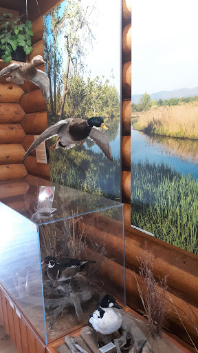 Park «South Platte Park and Carson Nature Center», reviews and photos, 3000 W Carson Dr, Littleton, CO 80120, USA