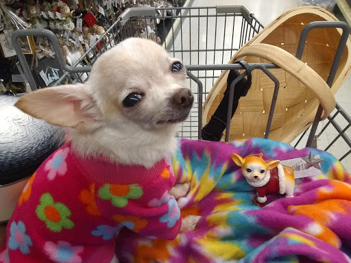 Craft Store «Hobby Lobby», reviews and photos, 5163 Hinkleville Rd, Paducah, KY 42001, USA