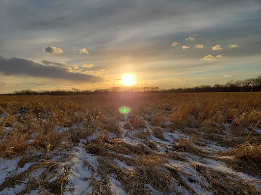 Nature Preserve «Rock Run Preserve - Paul V. Nichols Access», reviews and photos, Essington Rd, Joliet, IL 60435, USA