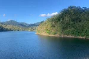 Lago Patillas image