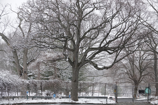 Golf Course «Forest Park Golf Course», reviews and photos, 101 Forest Park Dr, Woodhaven, NY 11421, USA