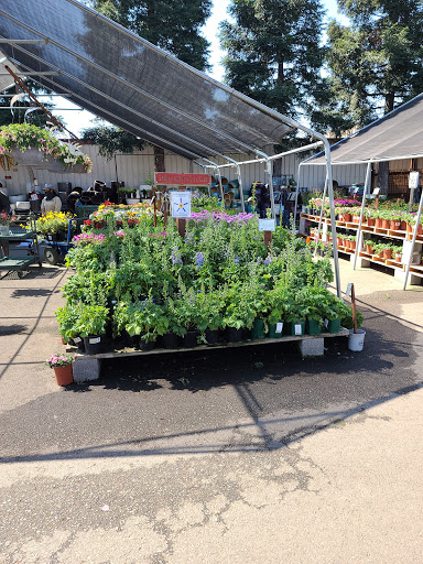 Green Acres Nursery & Supply