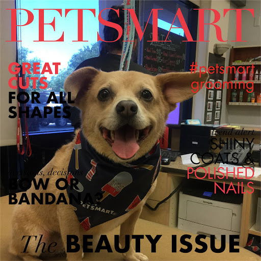Pet Supply Store «PetSmart», reviews and photos, 200 S Village Center Dr, Southlake, TX 76092, USA
