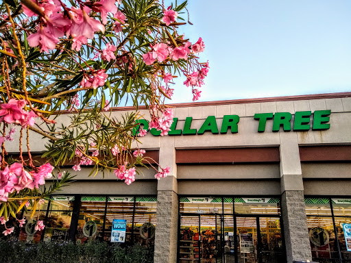 Dollar Store «Dollar Tree», reviews and photos, 5715 W Bell Rd, Glendale, AZ 85308, USA