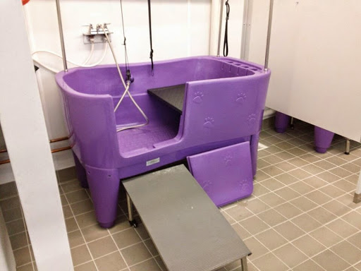 Pet Supply Store «Bow Wow and Meow Pet Supplies», reviews and photos, 1648 S 4th St, Allentown, PA 18103, USA