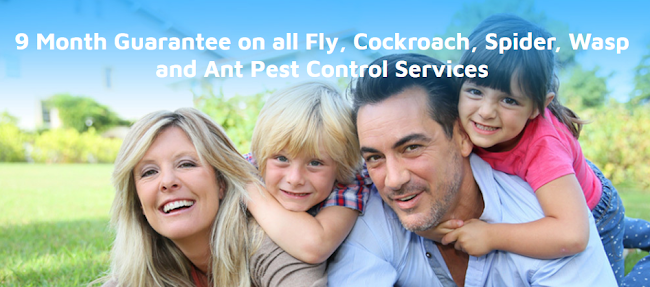 World Class Pest Control - Pest control service