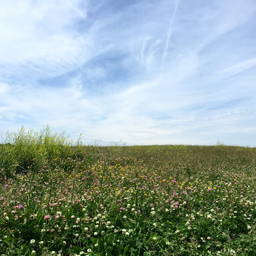 Event Venue «Willow Island at the Alliant Energy Center», reviews and photos, 1919 Alliant Energy Center Way, Madison, WI 53713, USA