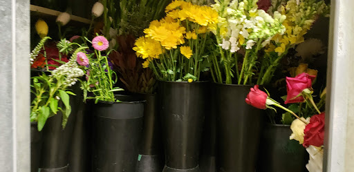 Florist «1-800-flowers 4 Gift Seattle», reviews and photos, 300 15th Ave E, Seattle, WA 98112, USA
