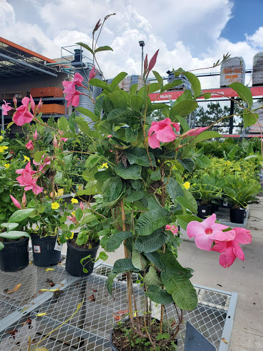 Home Improvement Store «The Home Depot», reviews and photos, 3373 Ronald McNair Way, Titusville, FL 32780, USA