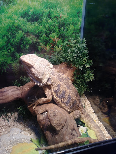 Pet Store «Pet Cove», reviews and photos, 820 E Center St, Kingsport, TN 37660, USA