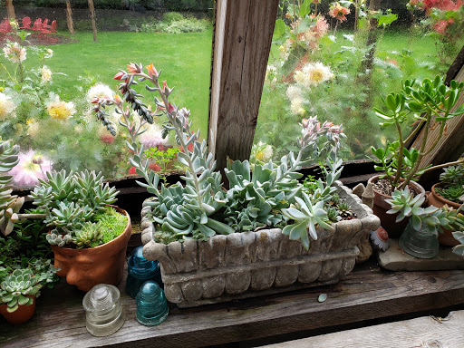 Wedding Venue «Red Cedar Farm», reviews and photos, 27054 NW Lofall Rd, Poulsbo, WA 98370, USA