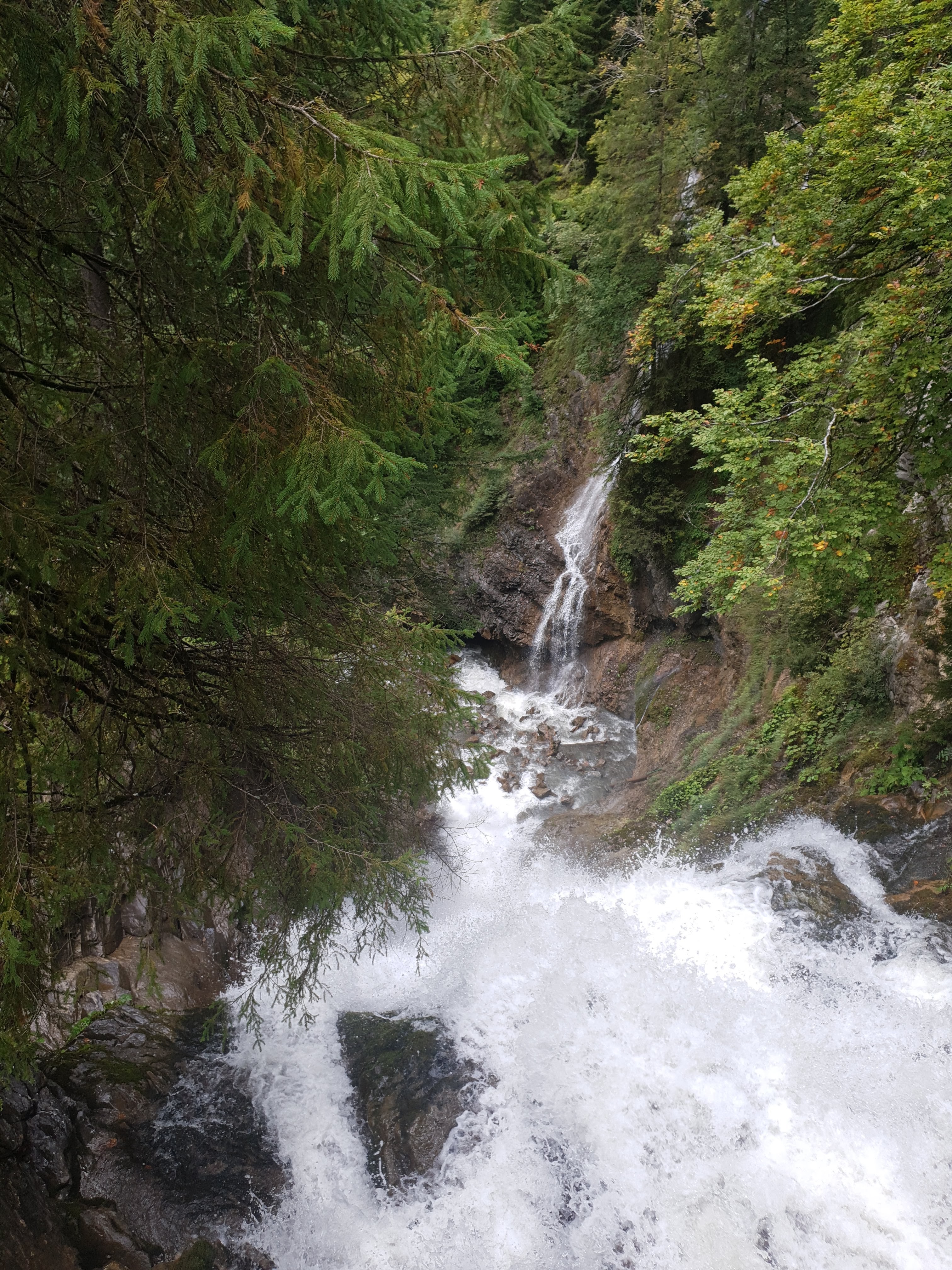 Photo n° 5 de l'avis de Tatiana.o fait le 23/10/2019 à 04:47