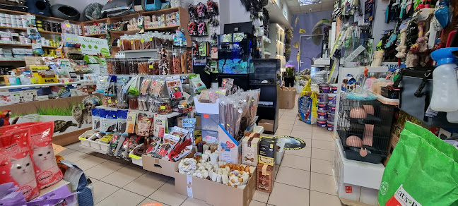 Comentarii opinii despre Sklep Zoologiczny Animal World Maj Dawid Akwarystyka Karmy Sklep ze zwierzętami