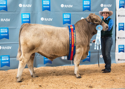Ganado Greys - Murray Grey Cattle Stud
