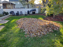 Del Ray Landscaping and Lawn Care LLC - Photo 3 - Car repair in Alexandria, VA, Washington