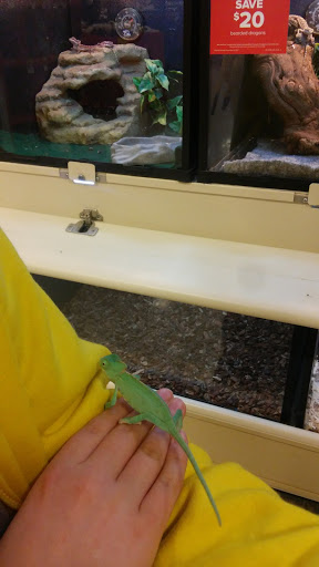 Pet Supply Store «PetSmart», reviews and photos, 1945 Pavilion Way, Lexington, KY 40509, USA