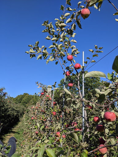 National Reserve «Assabet River National Wildlife Refuge», reviews and photos, 680 Hudson Road, Sudbury, MA 01776, USA