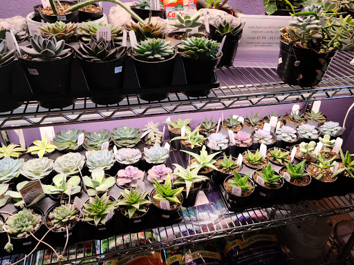 Florist «The Flower Petaler», reviews and photos, 620 S Main St, St Charles, MO 63301, USA