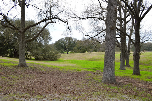 Golf Course «City Park Golf Course», reviews and photos, 1515 Dalrymple Dr, Baton Rouge, LA 70808, USA