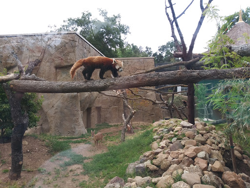 Zoo «Charles Paddock Zoo», reviews and photos, 9100 Morro Rd, Atascadero, CA 93422, USA