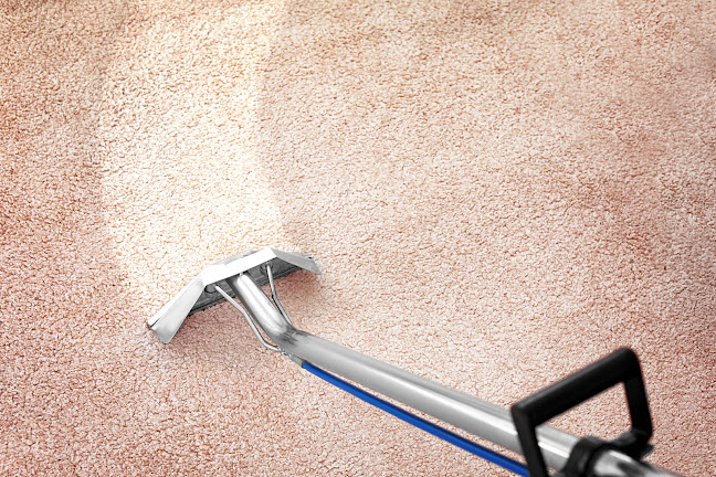 Comments and reviews of Brighton Carpet Cleaning Services