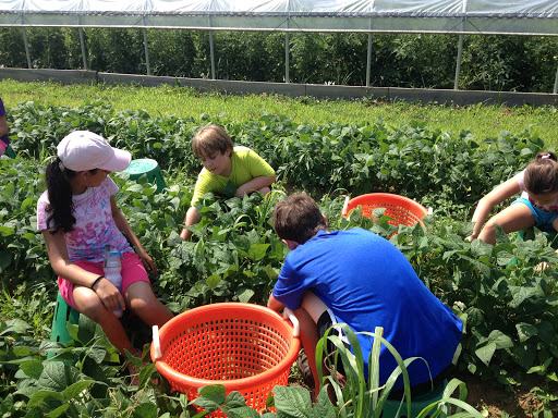 Farm «Coverdale Farm Preserve of Delaware Nature Society», reviews and photos, 543 Way Rd, Greenville, DE 19807, USA