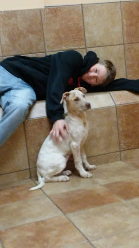 Pet Supply Store «PetSmart», reviews and photos, 825 Pilgrim Way, Green Bay, WI 54304, USA