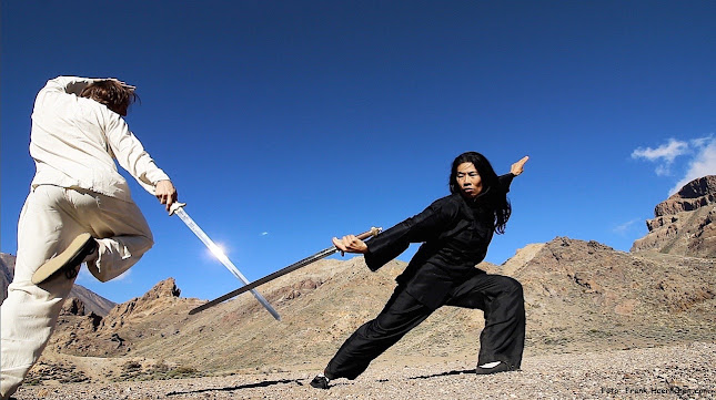 Lishi Taoist Tai Chi and Kung Fu / Wu Shu - School