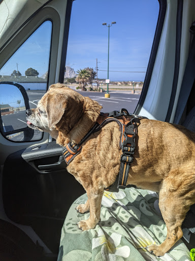 Grocery Store «Spencer Fresh Market», reviews and photos, 2650 Main St, Morro Bay, CA 93442, USA