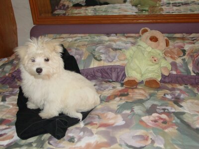 Convenience Store «Sweet Owen Country Store», reviews and photos, 5850 State Hwy 22, Owenton, KY 40359, USA