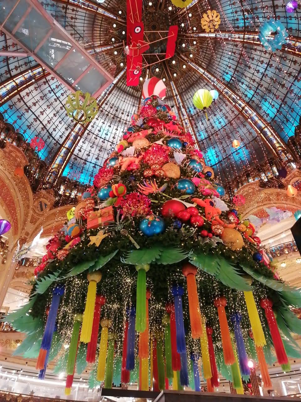 Photo n° 1 de l'avis de Md..a fait le 21/12/2020 à 21:14